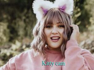Kitty_cam