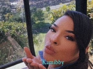 Kamibby