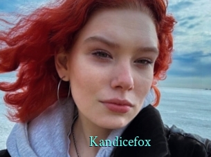 Kandicefox