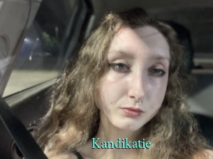 Kandikatie