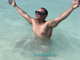 kanenorris xxx Fantasy Land