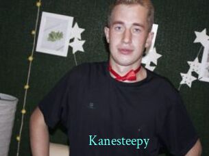 Kanesteepy