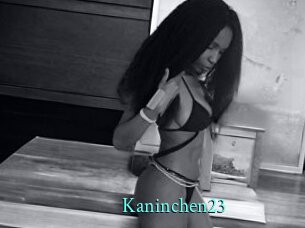 Kaninchen23