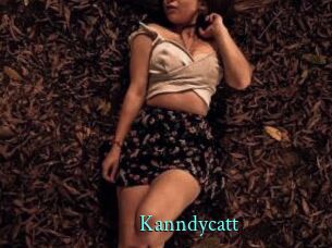 Kanndycatt
