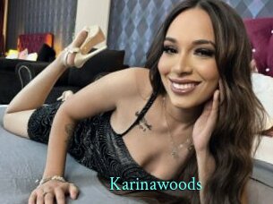 karinawoods xxx Fantasy Land