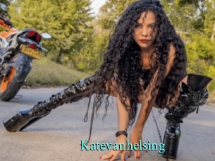 katevanhelsing xxx Fantasy Land