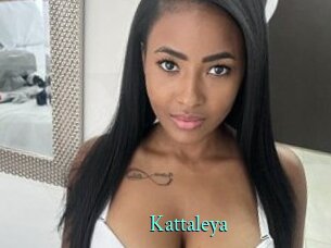 kattaleya xxx Fantasy Land