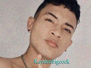 kaydenbigcock xxx Fantasy Land