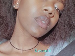 Kesandu