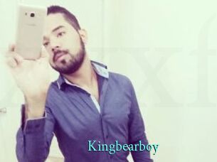 Kingbearboy