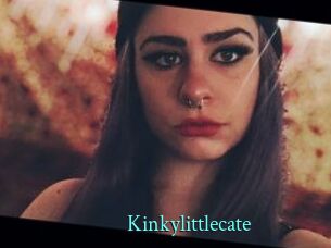 Kinkylittlecate