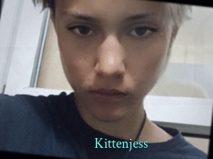 Kittenjess