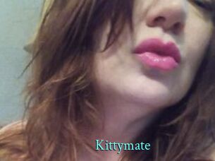 Kittymate