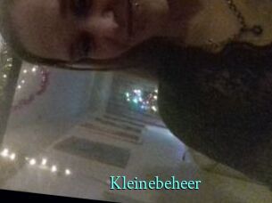 Kleinebeheer