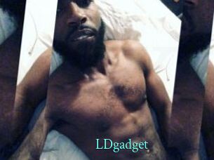 LDgadget