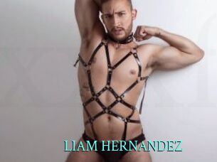 LIAM_HERNANDEZ