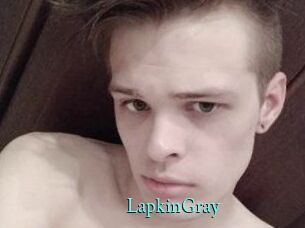 LapkinGray