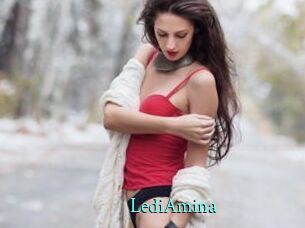 LediAmina