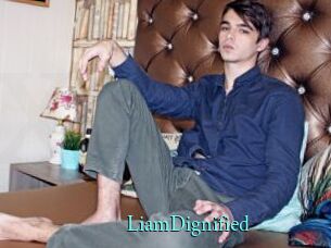 LiamDignified