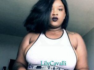 Lily_Cavalli