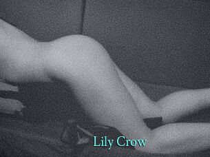 Lily_Crow