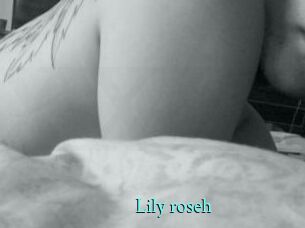 Lily_roseh