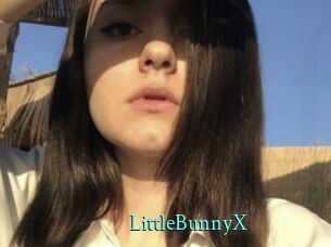 LittleBunnyX xxx Fantasy Land