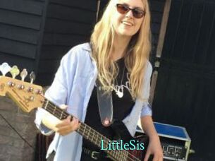LittleSis