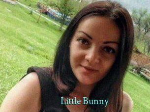 Little_Bunny_