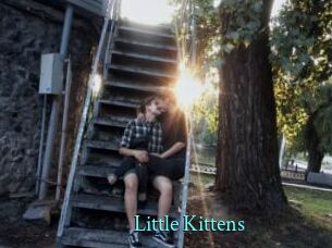 Little_Kittens