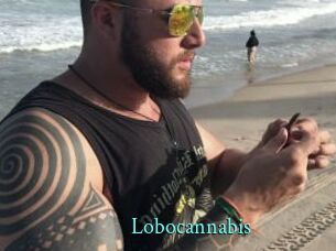 Lobocannabis