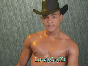 LovelyGayX1