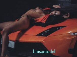Luisamodel