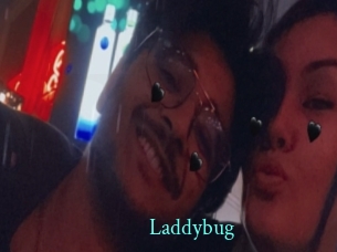 Laddybug