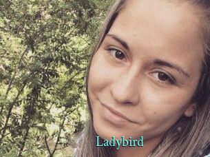 Ladybird