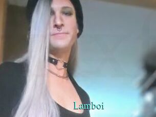 Lamboi