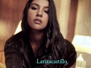 Larixacastillo