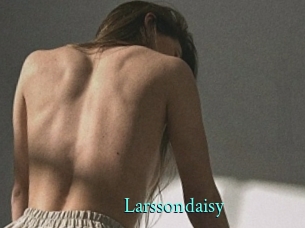 Larssondaisy