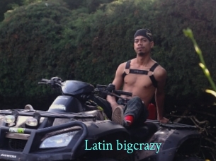 Latin_bigcrazy