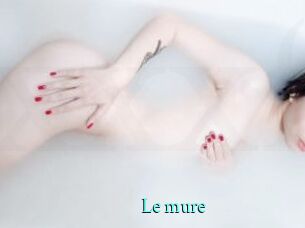 Le_mure