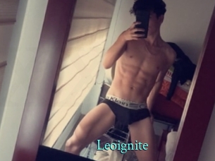 Leoignite