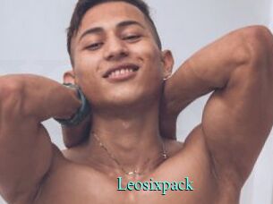 Leosixpack