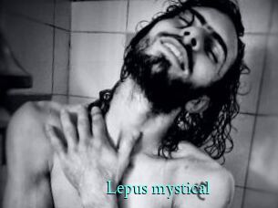 Lepus_mystical