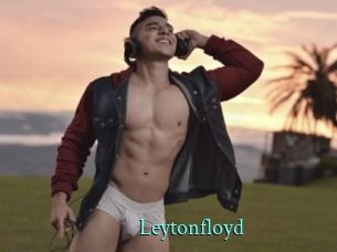 leytonfloyd xxx Fantasy Land
