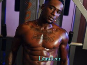 liamfleur xxx Fantasy Land