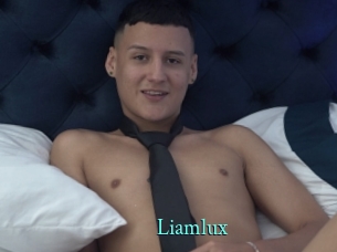 liamlux xxx Fantasy Land