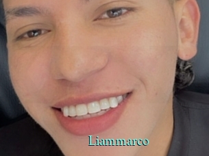 liammarco xxx Fantasy Land