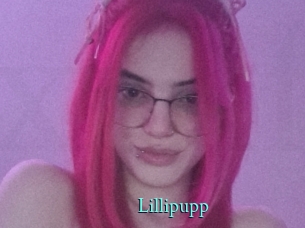 Lillipupp