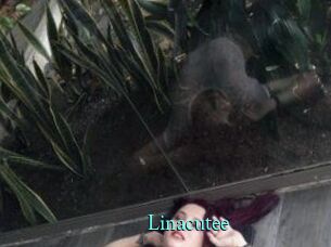 Linacutee