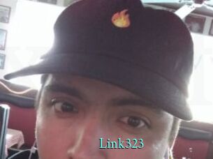 Link323